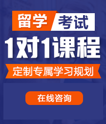 啊啊啊啊操我大鸡吧操我用力插视频留学考试一对一精品课